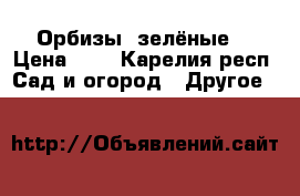 Орбизы (зелёные) › Цена ­ 2 - Карелия респ. Сад и огород » Другое   